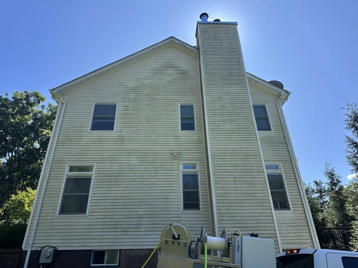 Vinyl siding with heavy organic growth before professional soft washing
